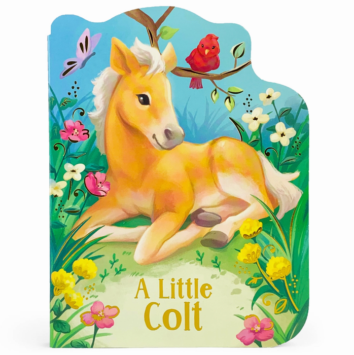 A Little Colt Shaped Board Book