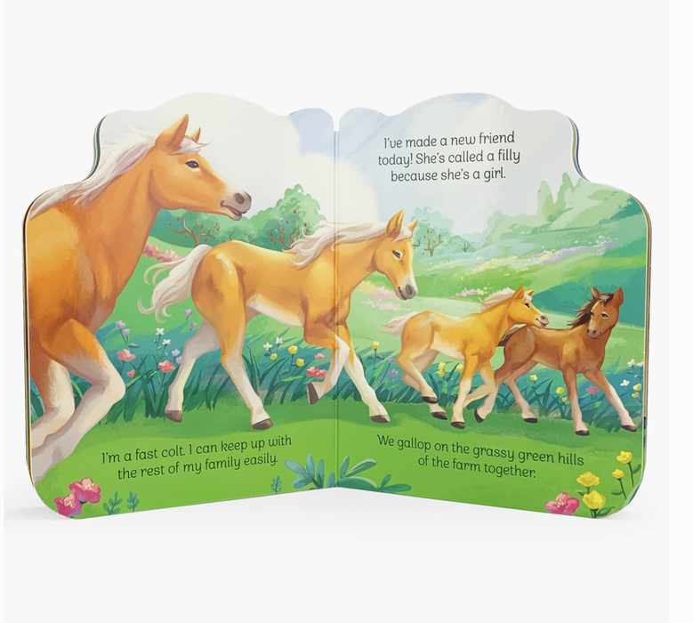 A Little Colt Shaped Board Book