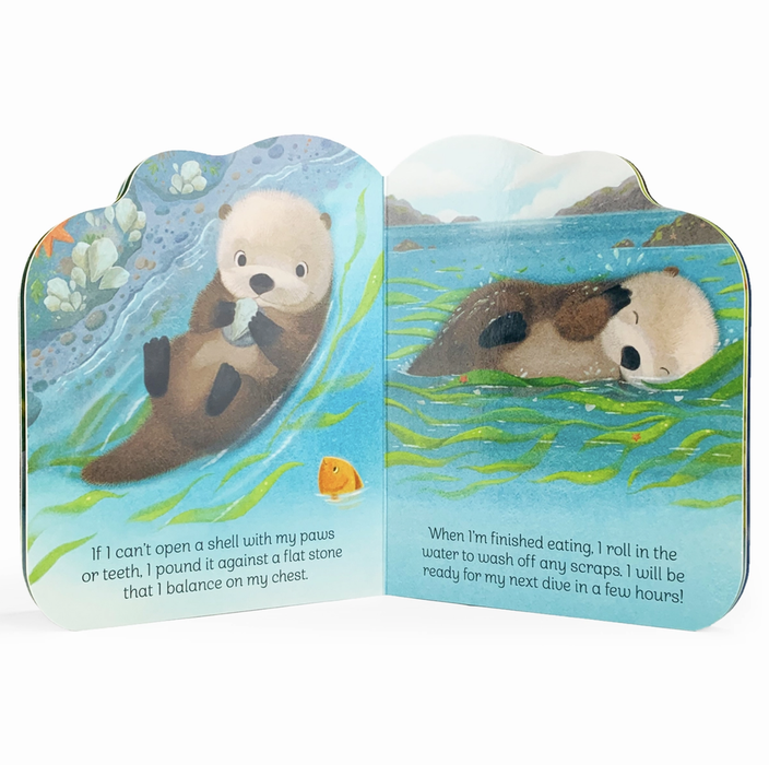 A Little Otter Shaped Board Book