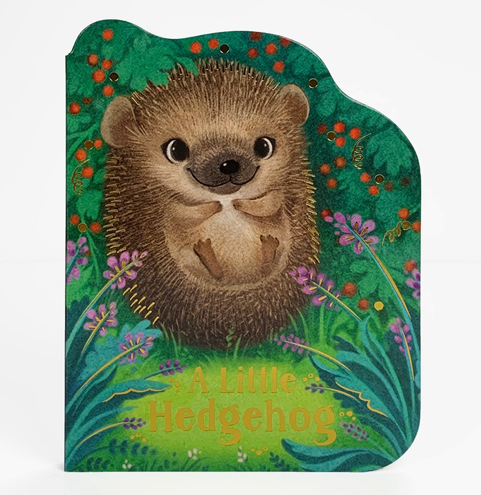 A Little Hedgehog Shaped Board Book