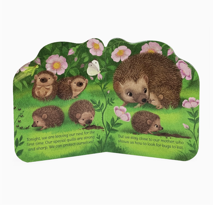 A Little Hedgehog Shaped Board Book