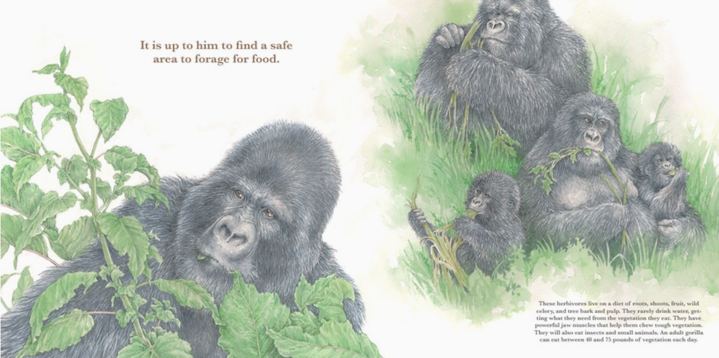 He Leads: Mountain Gorilla, The Gentle Giant