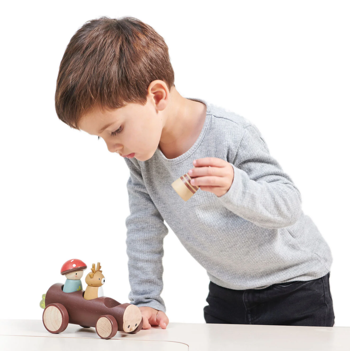 Tender Leaf Toys Timber Taxi