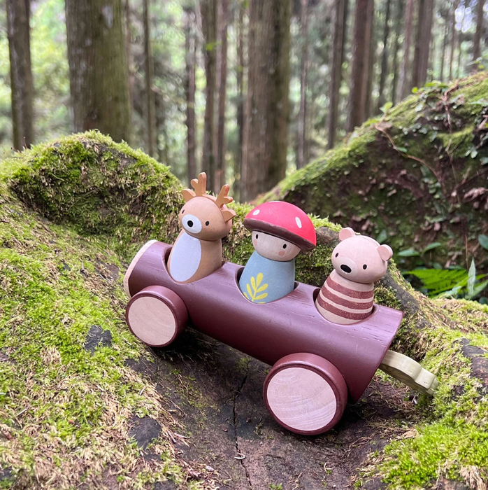 Tender Leaf Toys Timber Taxi