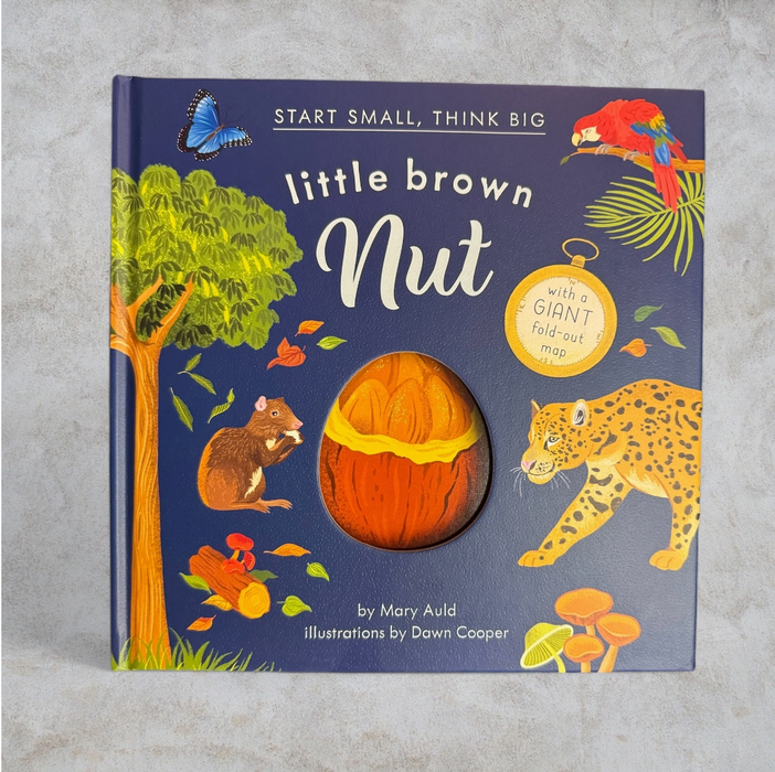 Red Comet Press Little Brown Nut