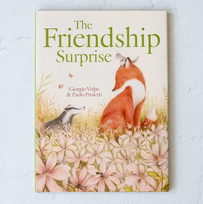 Red Comet Press The Friendship Surprise