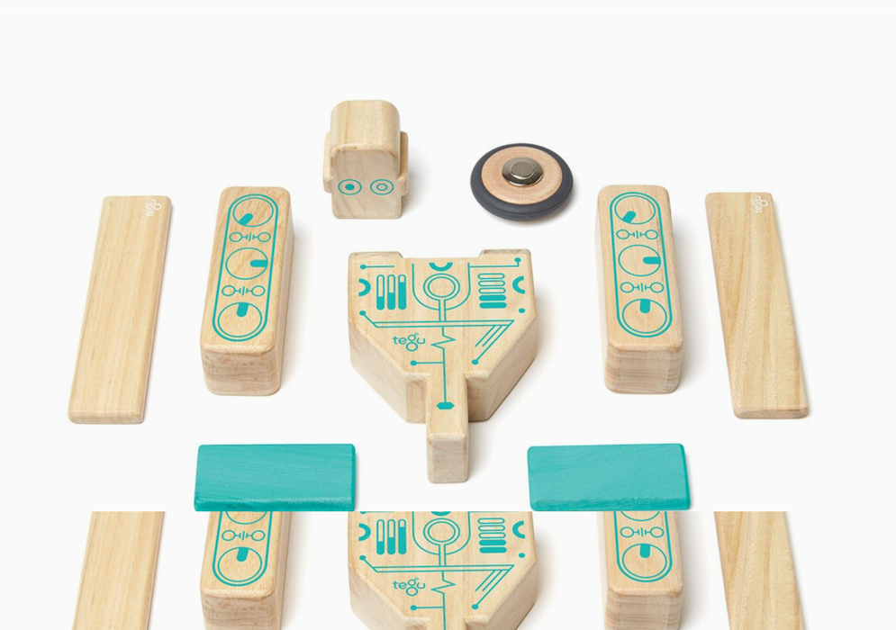 Tegu Magbot - Magnetic Wooden Block Set