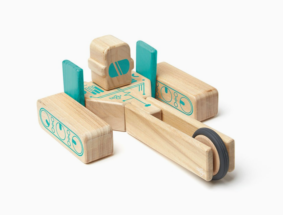 Tegu Magbot - Magnetic Wooden Block Set