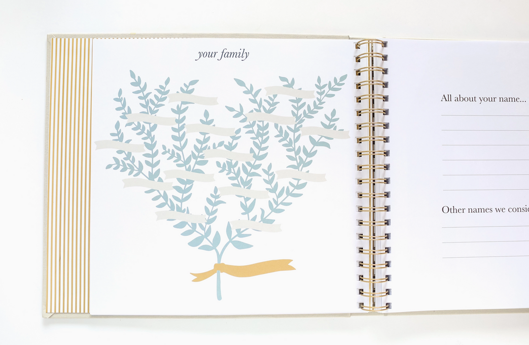 Paper Peony Press The Baby Memory Book