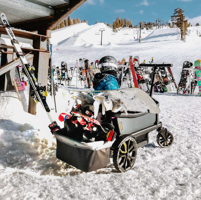 Veer All-Terrain Cruiser Foldable Storage Basket