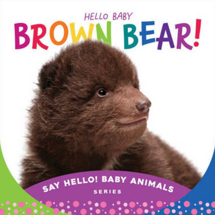 Hello Baby Brown Bear