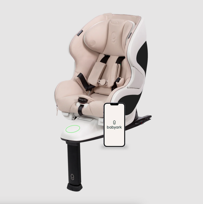 babyark Convertible Car Seat - Smart