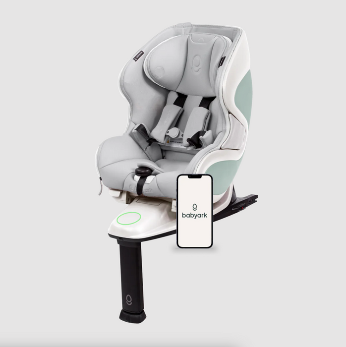 babyark Convertible Car Seat - Smart