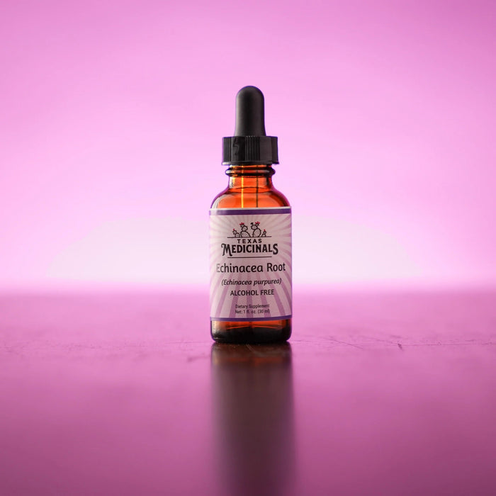 Texas Medicinals Echinacea