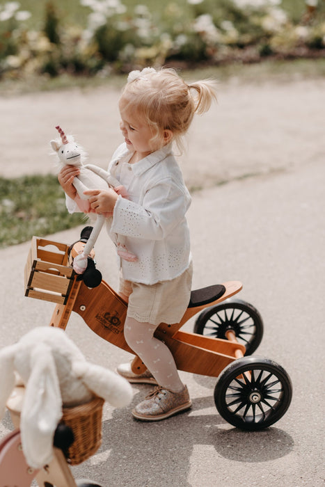 Kinderfeets 2-in-1 Tiny Tot PLUS Tricycle & Balance Bike