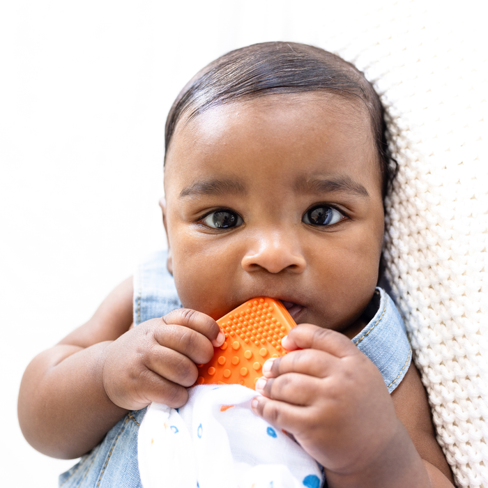 Frolik+Co Toothi Teether — Enlightened Baby - Main Image