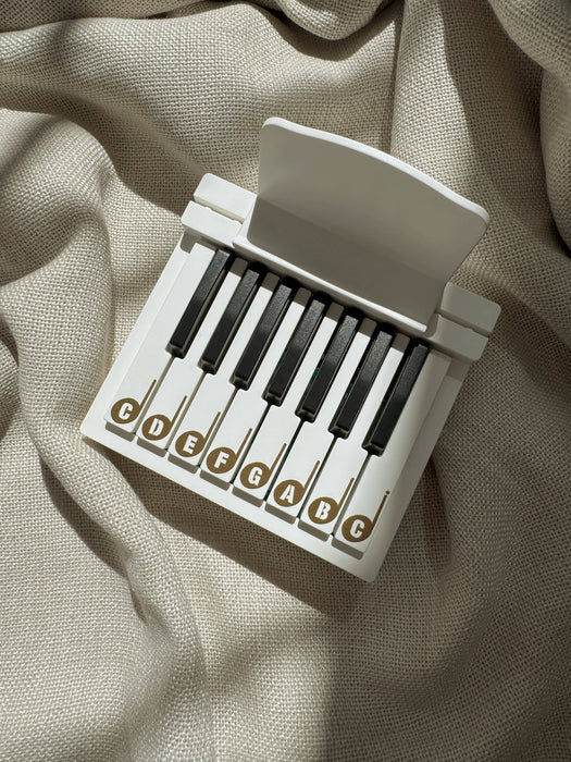 Beginner Piano Kids Piano Toy Instrument