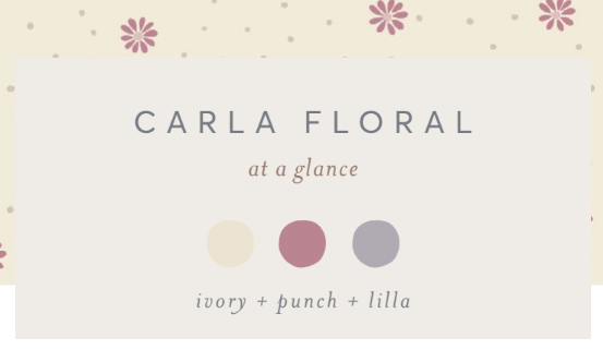 Colored Organics Baby Burp Cloth (2-pack) - Giada + Carla Floral