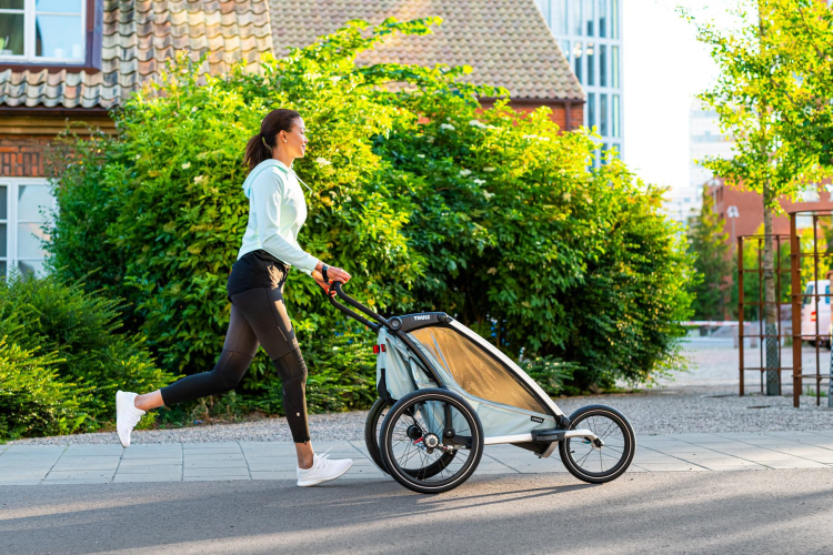 Thule Chariot Cross