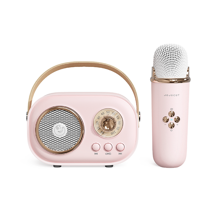 Mini Karaoke Set