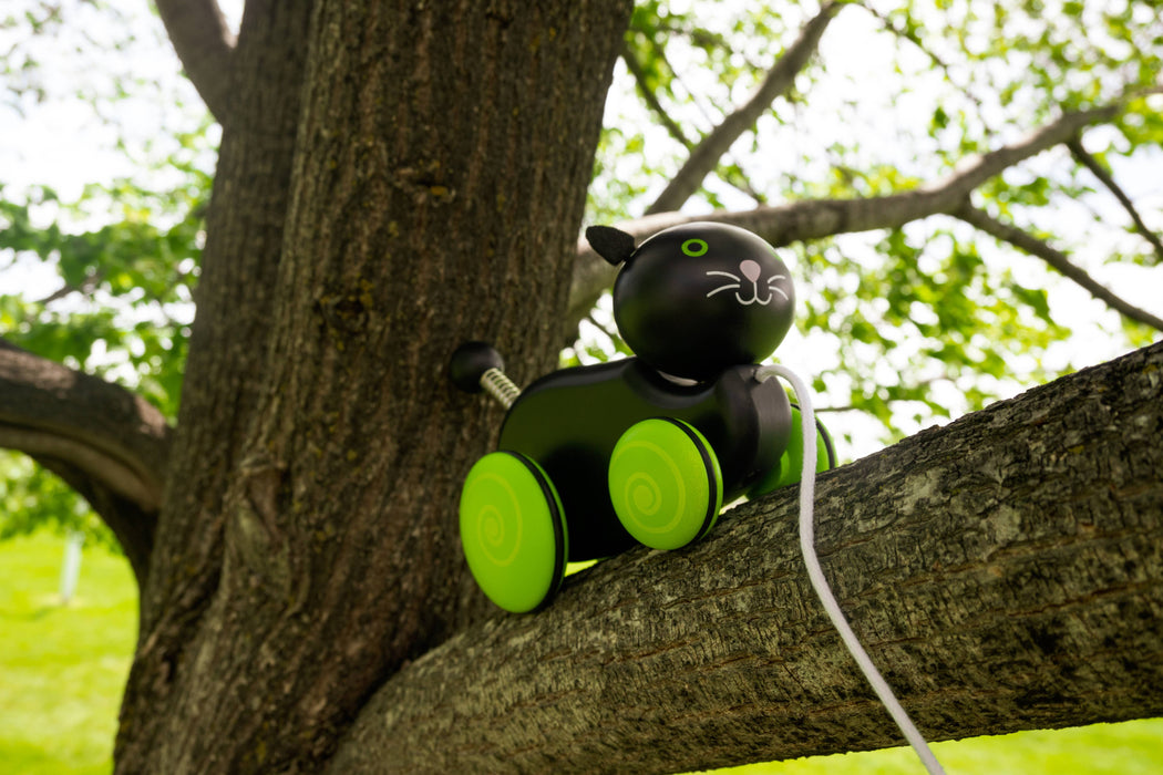 Jack Rabbit Creations Whiskers the Cat Pull Toy