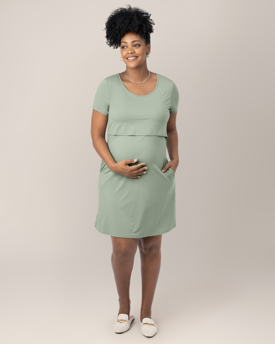 Kindred Bravely Eleanora Bamboo Maternity & Nursing Dress