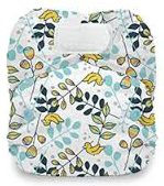 Thirsties Natural All In One Hook and Loop Cloth Diaper - NAIO H/L