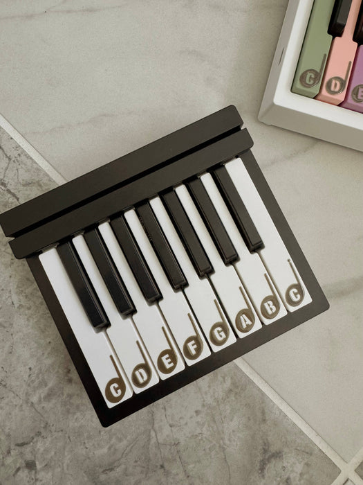 Beginner Piano Kids Piano Toy Instrument