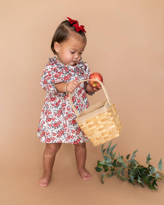 Viverano Organics Amour Rose Floral Ruffle Baby Dress & Bloomer (Linen Blend)