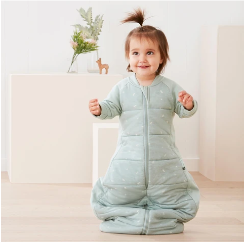 ergoPouch Sleep Suit Bag (2.5 Tog)