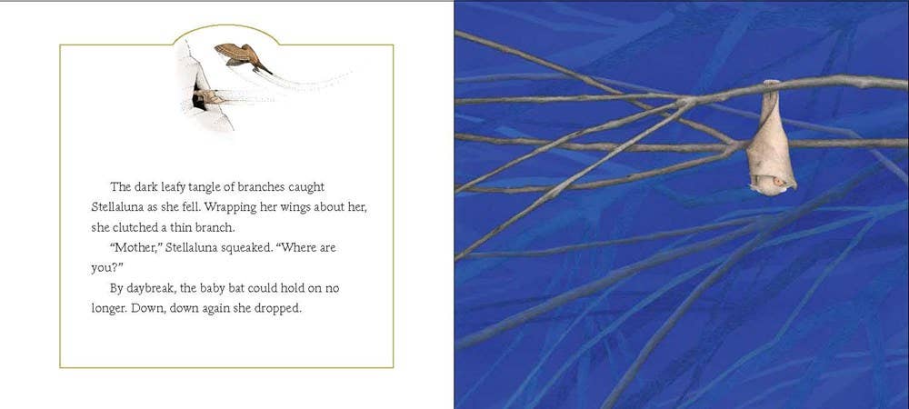 Stellaluna Board Book : Janell Cannon