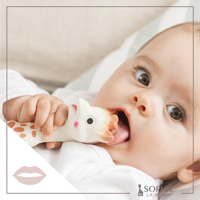 Sophie La Girafe White Box- Classic