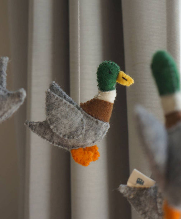 Mobile, Ducks