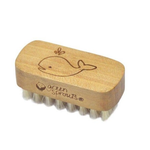 Green Sprouts Baby Nail Brush