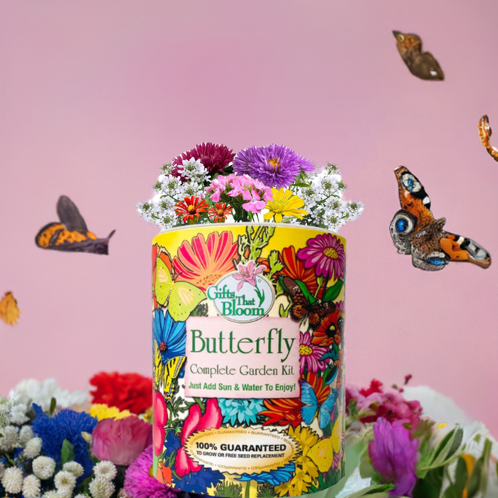Butterfly Garden  Grocan Seed Kit