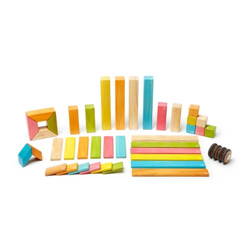 Tegu 42 Piece Magnetic Wooden Block Set