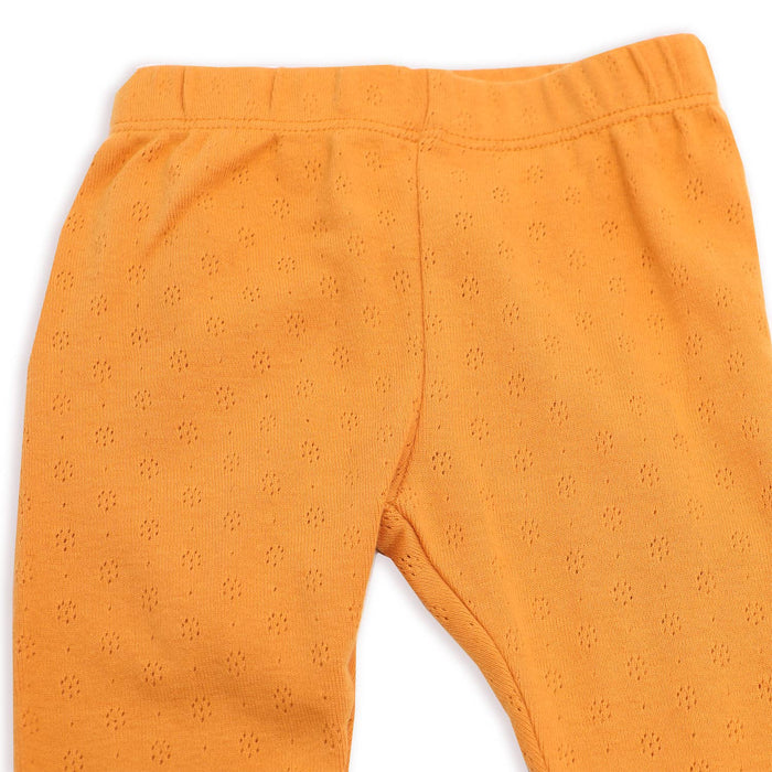 Pointelle Knit Stretch Baby Leggings Pants (Organic Cotton)