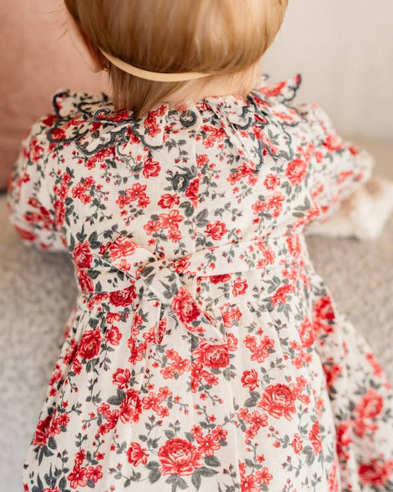 Viverano Organics Amour Rose Floral Ruffle Baby Dress & Bloomer (Linen Blend)
