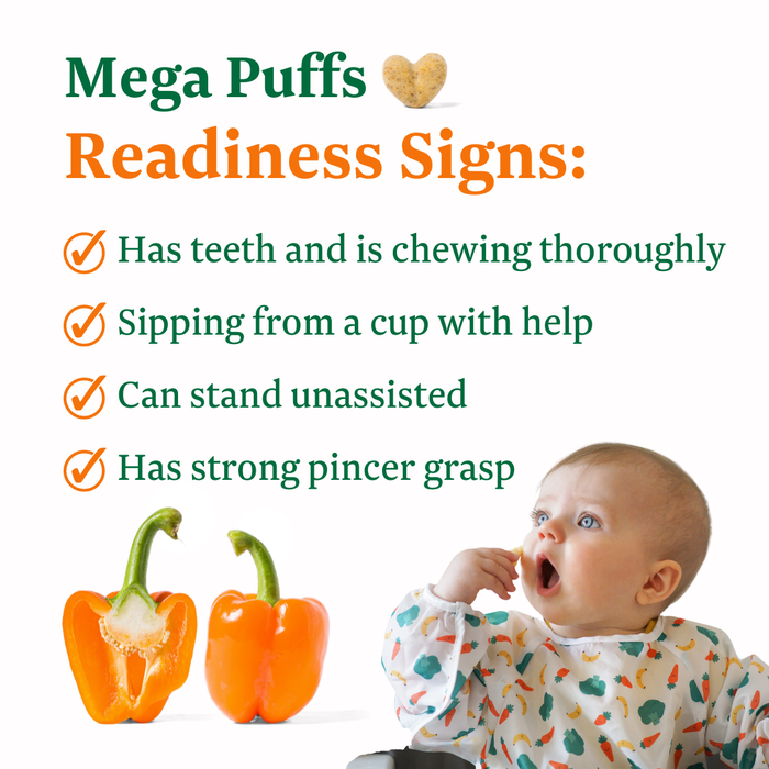 FoodNerd Orange Mega Puffs