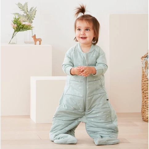 ergoPouch Sleep Suit Bag (2.5 Tog)