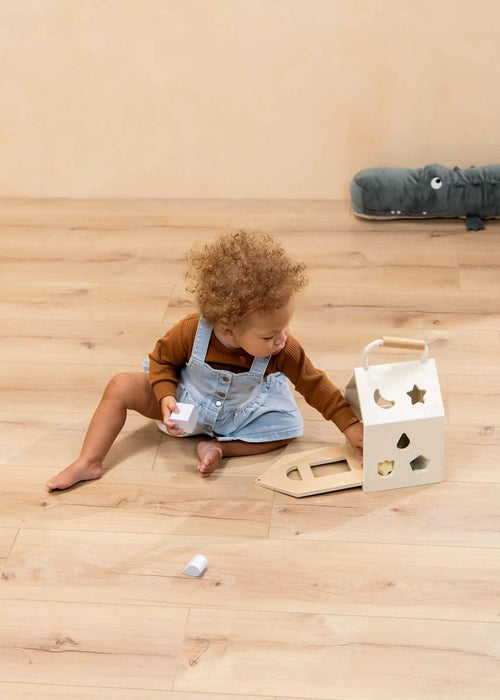 Coco Village Wooden Shapes Sorting House