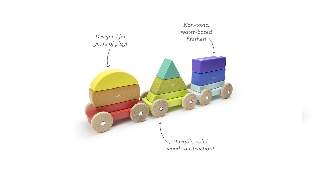 Tegu Magnetic Shape Train