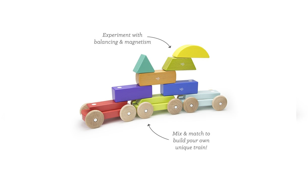 Tegu Magnetic Shape Train