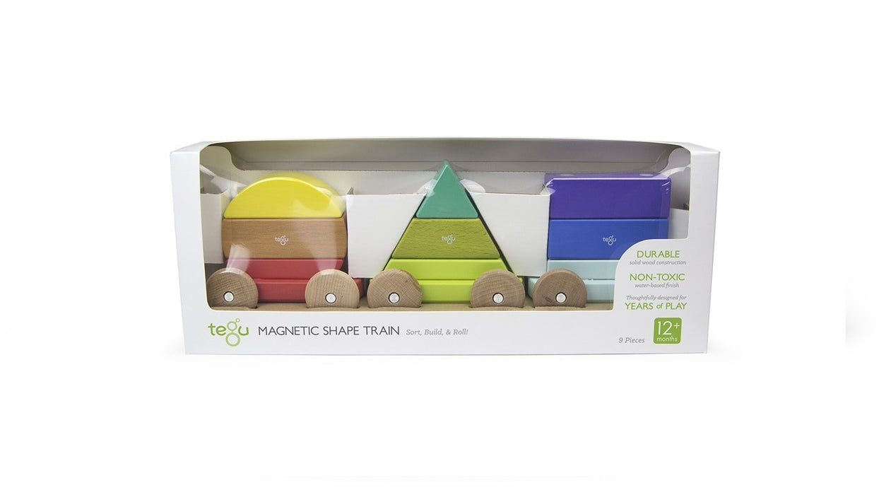 Tegu Magnetic Shape Train