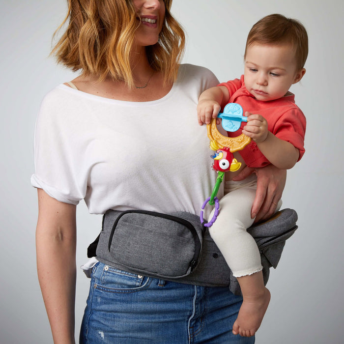 TushBaby Baby Carrier